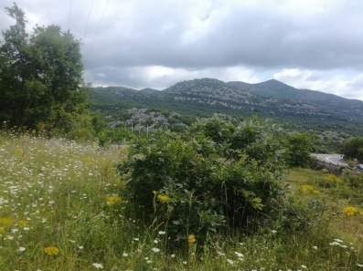Za prodaju zemljište 125000m2, Meterizi, Cetinje