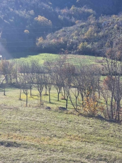 Za prodaju zemljište 130000m2, Nikšić