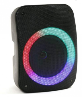 Bluetooth zvučnik 20W, Platinet PMG255, RGB, LED, FM, BT 5.0