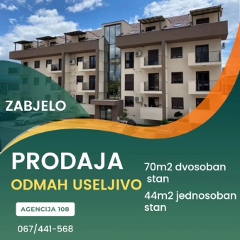 Dvosoban stan 70m2 i jednosoban stan 44m2, Zabjelo, Podgorica, Prodaja